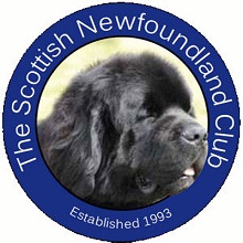 scottish newfoundland club logo